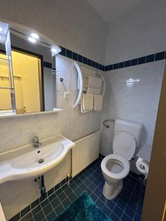 Reiner 12 Apartment - Vienne - 8