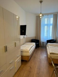 Reiner 12 Apartment - Vienne - 3