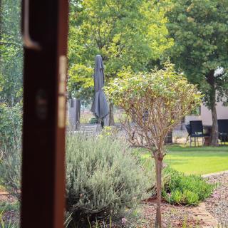 Three Thymes Inn - Tierpoort - 7