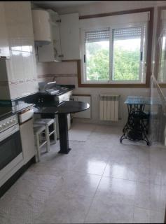 PISO DEL PARQUE 2 - Santiago de Compostela - 0