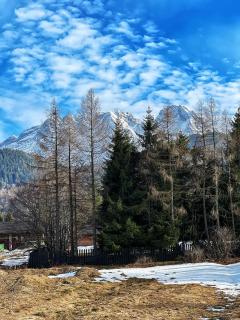 Apartament Świerkowy z ogródkiem - Viva pod Giewontem Apartamenty - Zakopane - 6