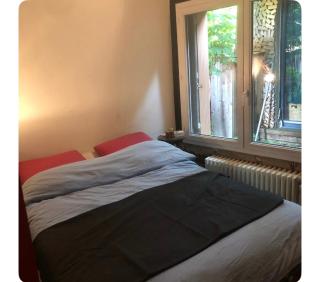 Maison avec terrasse-jardin proche métro - Montreuil - 2