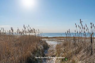 Bike trail, Tennis Court, Surrounded by nature - Eastham - 6