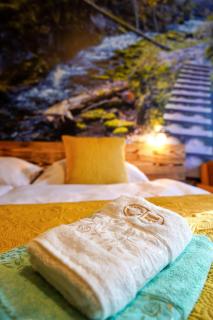 Hotel Raj - Dedinky - 4