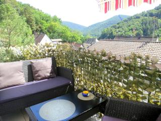 Ferienwohnung/Monteurwohnung Meiser - Lambrecht - 9