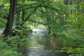 Pension Zumpe - Stolpen - 1