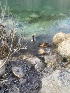 Al Colle - Ateleta - 1