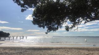 Beach Lodge - Auckland - 1