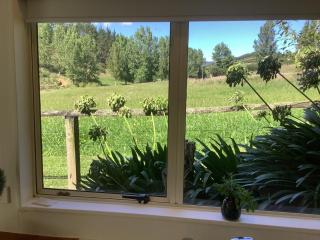 Wood Pigeon Cottage Pet Friendly Free Breakfast Hauraki Rail Trail 2kms - Waikino - 7