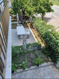 Alexias - Paralia Dionysiou - 5