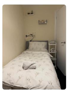 ExCeL Single room - 5mins to ExCeL & 10mins to Canary Wharf - Londen - 9