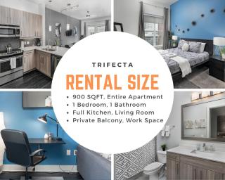 Trifecta Luxury Serviced Apartment in Uptown CLT - Charlotte - 6