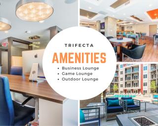 Trifecta Luxury Serviced Apartment in Uptown CLT - Charlotte - 5