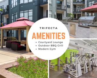 Trifecta Spacious & Beautiful Wifi Superhost - Charlotte - 7