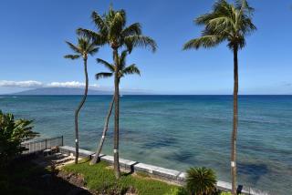 Kulakane 306 - Kahana - 2