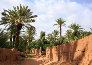 Sahara Berber Camp - Zagora - 6