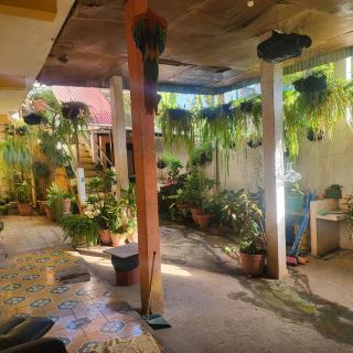 Hostal Doña Gladys - Flores - 3