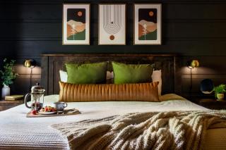 The Copper Bird Mid Century Hot tub Arcade Gameroom Rock Climbing wall - 4