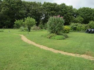Gîte familial avec grand jardin, près des Châteaux de la Loire et activités nautiques - FR-1-381-494 - 9