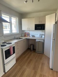 Spacious 1-Bedroom 1960 Unit Close to City with Public Transport Right at the Doorstep - Christchurch - 9