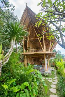 Nyan - Bamboo House - 1