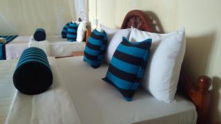 Blue Ribbon Homestay - 3