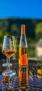 Ferienwohnung - Riesling Ambiente - im Weingut Andries - Ernst - 1