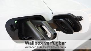 Gulfhof-Ferien Briese - 1