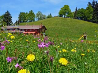 Alpengasthof Brüggele - Alberschwende - 1