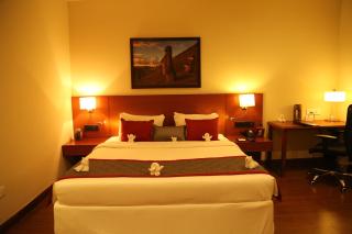 The Altruist Business Hotel Hitech - 5