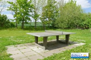 Familienfreundliches Reetdachhaus Weissdorn 2 - Puddemin - 4