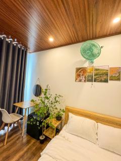 Vile Villa- Homestay 2 Đảo Phú Quý - Cu Lao Thu - 6