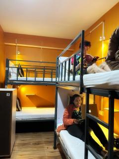 House of Nomad - Gangtok - 3
