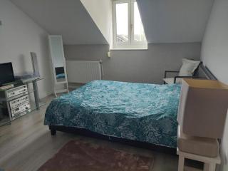 Chambre a proximité du circuit des 24 heures - Guémardières - 4