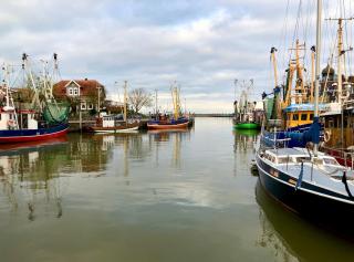 DiekhammsWarf - Neuharlingersiel - 7