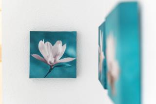 Marina view, sunny one bedroom pyr - 1