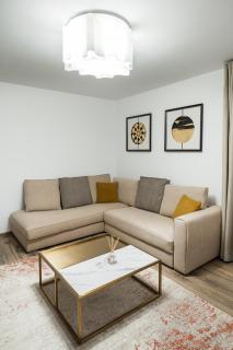 ApartBnb Euphoria 21 - Braşov - 9