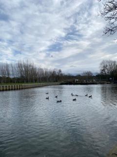 Pershore Rooms at The Star - Pershore - 6
