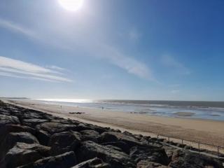 Charmant T3 en bord de mer, parking privé, animaux admis, non-fumeurs, proche commerces et pistes cyclables - FR-1-324A-59 - Saint-Hilaire-de-Riez - 9
