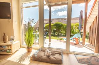 Hund und Meer - Cuxhaven - 6