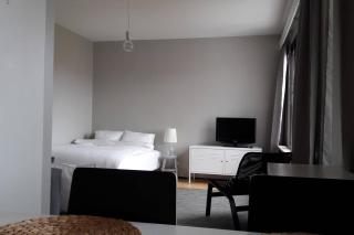 Northern Haven -Studio Apartment, Self Check In, Free WiFi, Parking- - Rovaniemi - 8