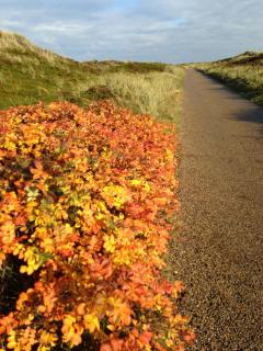 Reimer - Strandstraße - Westerland - 3