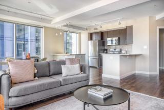 Theatre District 2br w wd gym nr theaters BOS-251A - 8