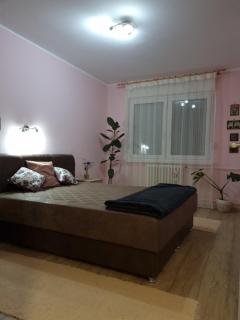 Bulevar NS - Stan u blizini železnike stanice i Sajma - Novi Sad - 7