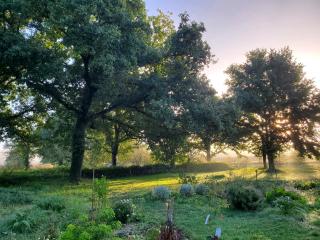 La Villauvert - Cottage - Saint-Martin-sur-Oust - 9