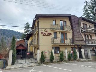 Vila Foc Alb Apartamente-Busteni - Buşteni - 8