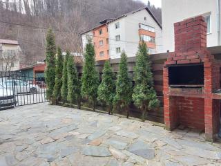 Vila Foc Alb Apartamente-Busteni - Buşteni - 6