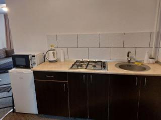 Vila Foc Alb Apartamente-Busteni - Buşteni - 2