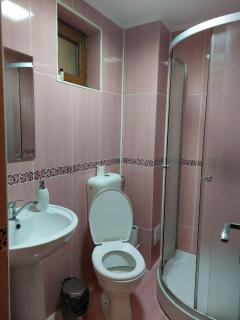 Vila Foc Alb Apartamente-Busteni - Buşteni - 1