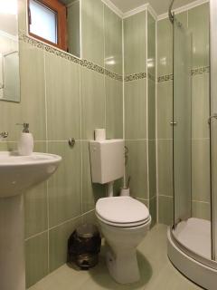 Vila Foc Alb Apartamente-Busteni - 2